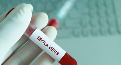Ebola in Congo, epidemia in forte accelerazione: perch� l'allarme sanitario preoccupa il mondo
